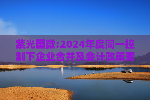紫光国微:2024年度同一控制下企业合并及会计政策变更追溯调整财务数据的专项说明