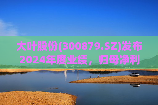 大叶股份(300879.SZ)发布2024年度业绩，归母净利润1612万元，同比扭亏为盈