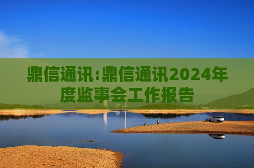 鼎信通讯:鼎信通讯2024年度监事会工作报告