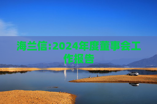 海兰信:2024年度董事会工作报告