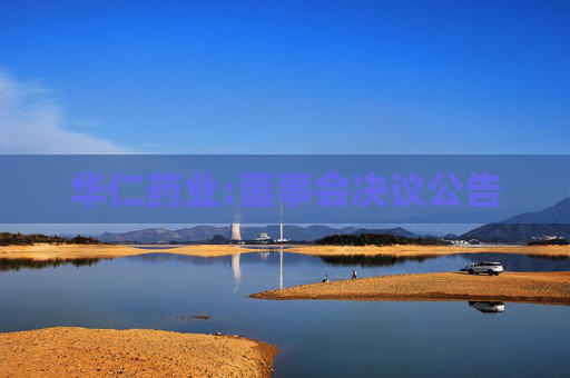 华仁药业:董事会决议公告