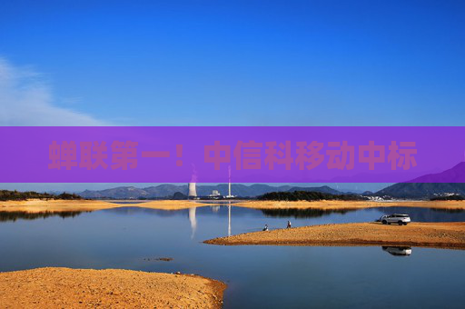 蝉联第一！中信科移动中标
