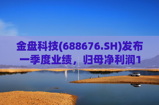 金盘科技(688676.SH)发布一季度业绩，归母净利润1.07亿元，同比增长13.32%