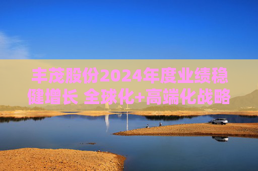 丰茂股份2024年度业绩稳健增长 全球化+高端化战略成效显现