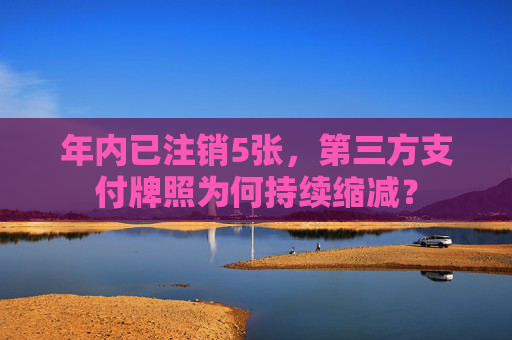年内已注销5张，第三方支付牌照为何持续缩减？
