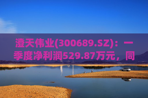 澄天伟业(300689.SZ)：一季度净利润529.87万元，同比增长1143.65%