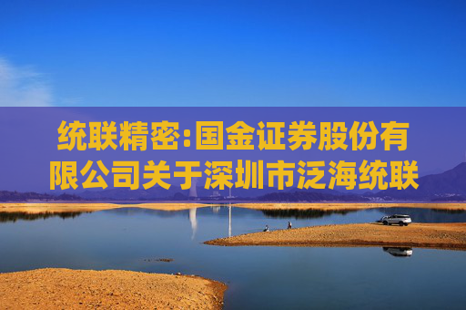 统联精密:国金证券股份有限公司关于深圳市泛海统联精密制造股份有限公司变更部分募集资金投资项目的核查意见