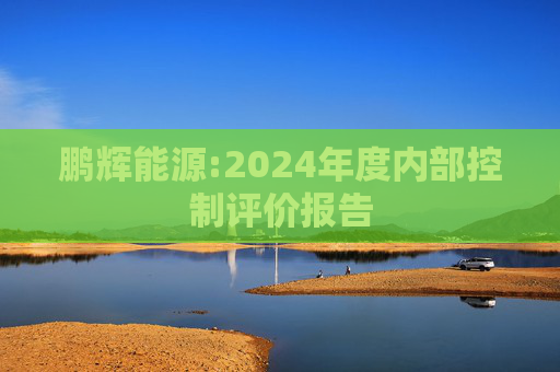 鹏辉能源:2024年度内部控制评价报告