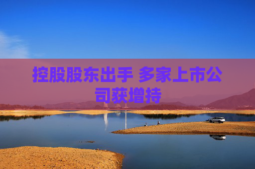 控股股东出手 多家上市公司获增持