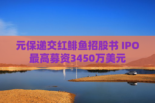 元保递交红鲱鱼招股书 IPO最高募资3450万美元