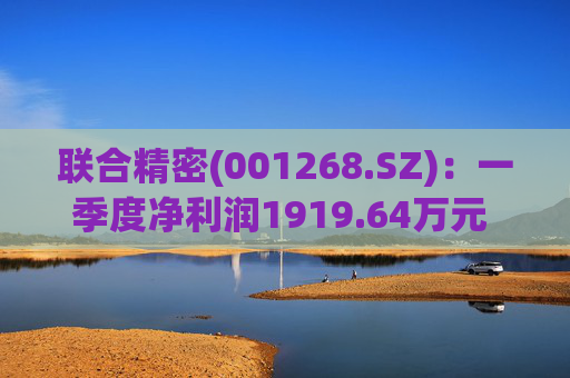 联合精密(001268.SZ)：一季度净利润1919.64万元 同比增长20.04%