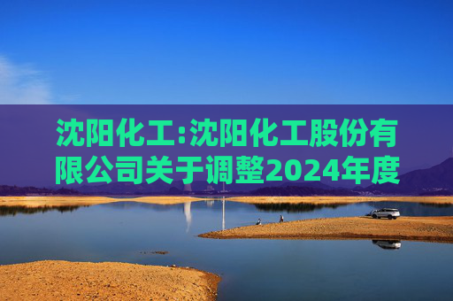 沈阳化工:沈阳化工股份有限公司关于调整2024年度日常关联交易预计的补充公告