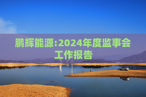 鹏辉能源:2024年度监事会工作报告
