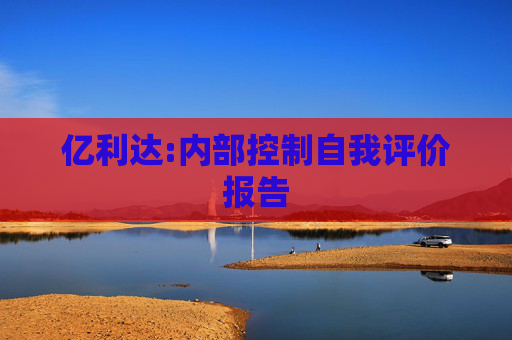 亿利达:内部控制自我评价报告