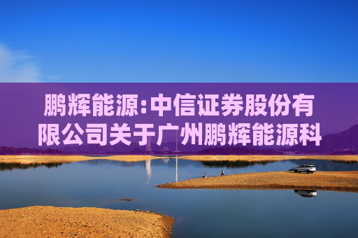 鹏辉能源:中信证券股份有限公司关于广州鹏辉能源科技股份有限公司及下属公司之间担保事项的核查意见