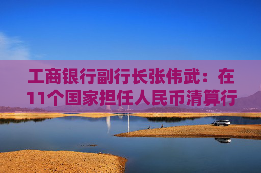 工商银行副行长张伟武：在11个国家担任人民币清算行，在31个“一带一路”共建国家设有254家分支机构  第1张