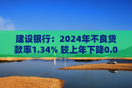 建设银行：2024年不良贷款率1.34% 较上年下降0.03个百分点