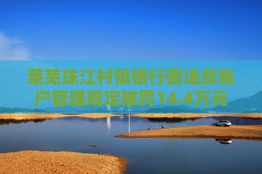 莱芜珠江村镇银行因违反账户管理规定被罚14.4万元