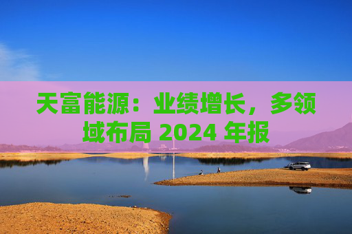 天富能源：业绩增长，多领域布局 2024 年报