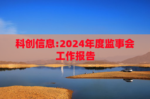 科创信息:2024年度监事会工作报告