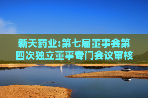 新天药业:第七届董事会第四次独立董事专门会议审核意见