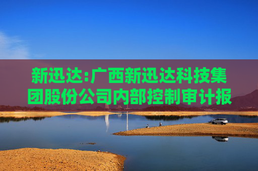 新迅达:广西新迅达科技集团股份公司内部控制审计报告
