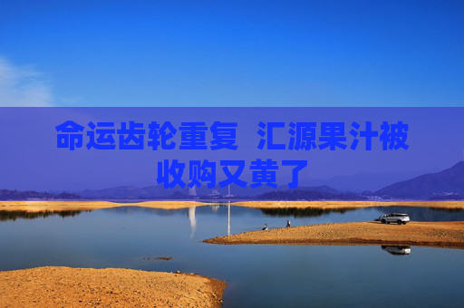 命运齿轮重复  汇源果汁被收购又黄了 第1张