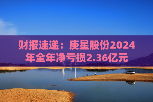 财报速递：庚星股份2024年全年净亏损2.36亿元