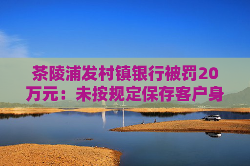 茶陵浦发村镇银行被罚20万元：未按规定保存客户身份资料和客户交易记录