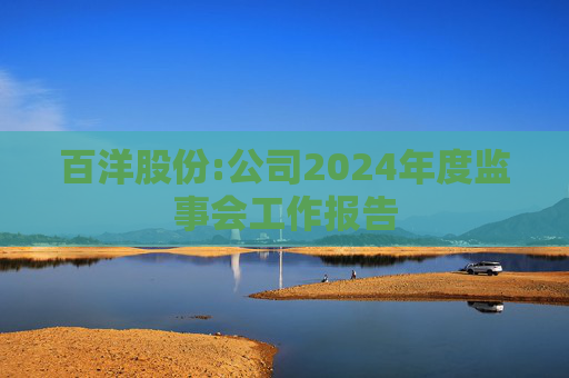 百洋股份:公司2024年度监事会工作报告