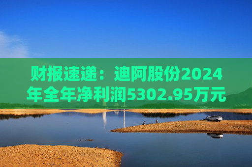 财报速递：迪阿股份2024年全年净利润5302.95万元