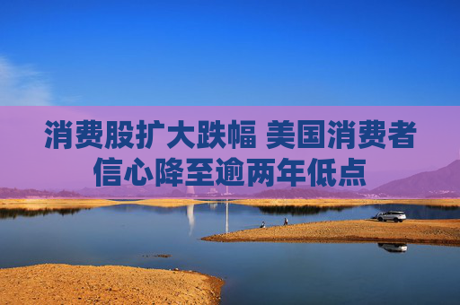 消费股扩大跌幅 美国消费者信心降至逾两年低点  第1张