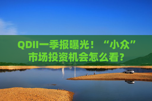 QDII一季报曝光！“小众”市场投资机会怎么看？