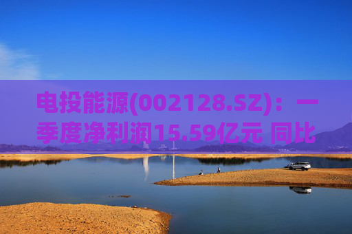 电投能源(002128.SZ)：一季度净利润15.59亿元 同比下降19.82%  第1张