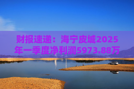 财报速递：海宁皮城2025年一季度净利润5973.88万元