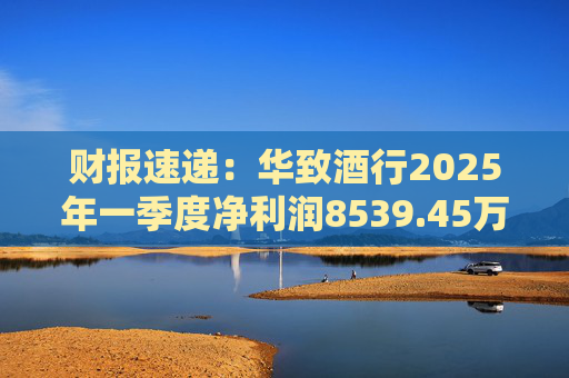 财报速递：华致酒行2025年一季度净利润8539.45万元