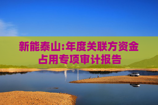 新能泰山:年度关联方资金占用专项审计报告