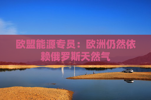 欧盟能源专员：欧洲仍然依赖俄罗斯天然气