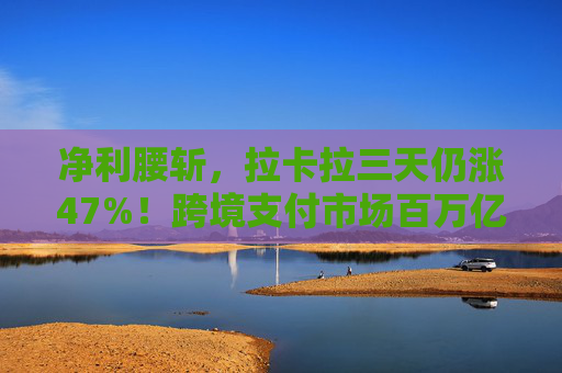 净利腰斩，拉卡拉三天仍涨47%！跨境支付市场百万亿，支付龙头困境反转？