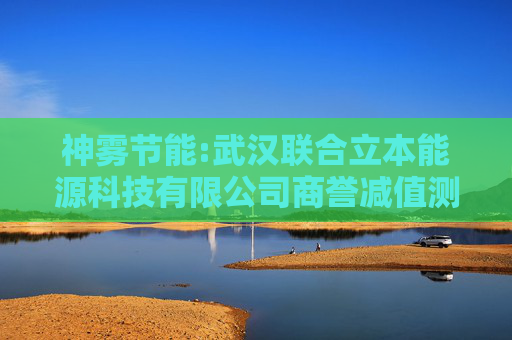 神雾节能:武汉联合立本能源科技有限公司商誉减值测试评估报告