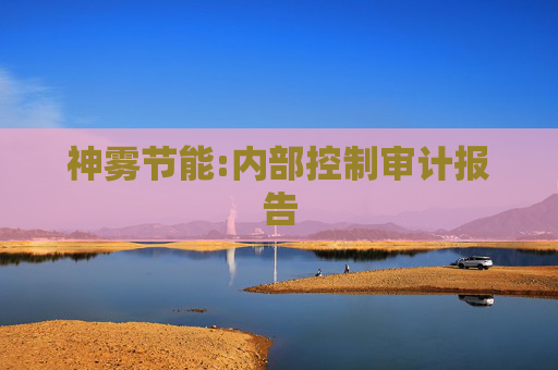 神雾节能:内部控制审计报告