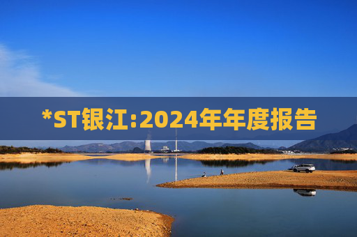*ST银江:2024年年度报告