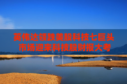 英伟达领跌美股科技七巨头 市场迎来科技股财报大考
