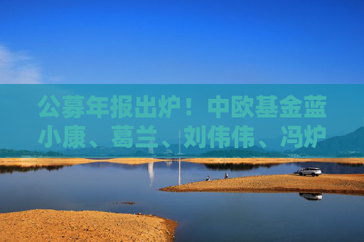 公募年报出炉！中欧基金蓝小康、葛兰、刘伟伟、冯炉丹最新观点一览