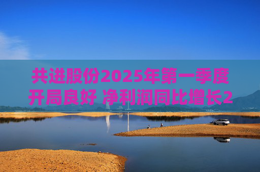 共进股份2025年第一季度开局良好 净利润同比增长267.63%