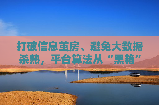 打破信息茧房、避免大数据杀熟，平台算法从“黑箱”走向透明