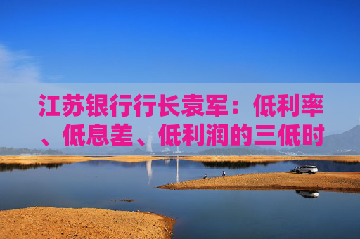 江苏银行行长袁军：低利率、低息差、低利润的三低时态将会催化银行业的分化  第1张