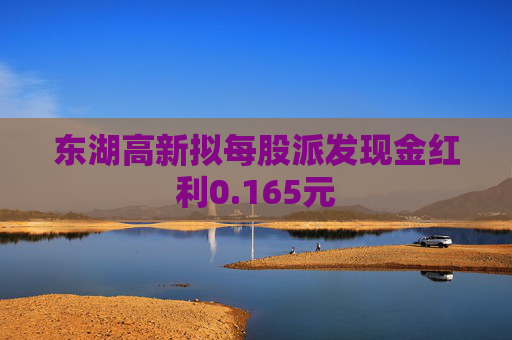 东湖高新拟每股派发现金红利0.165元