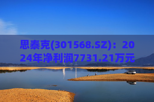 思泰克(301568.SZ)：2024年净利润7731.21万元 同比减少22.21%
