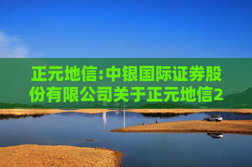 正元地信:中银国际证券股份有限公司关于正元地信2024年度募集资金存放与使用情况的专项核查报告
